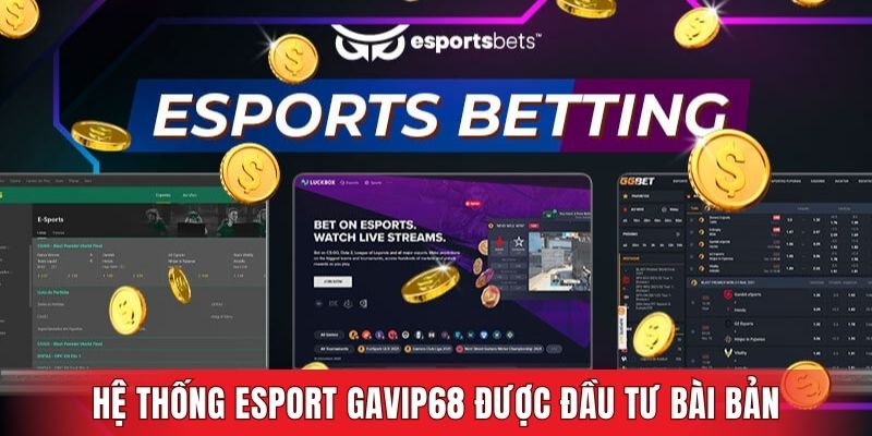 Hệ thống Esport GAVIP68 được đầu tư bài bản