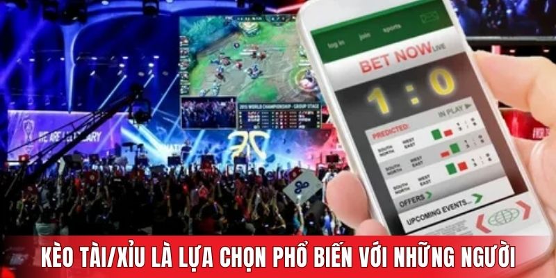 Kèo Tài/Xỉu là lựa chọn phổ biến với những người